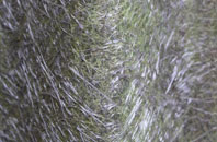 Ascott Earl fibreglass roof work